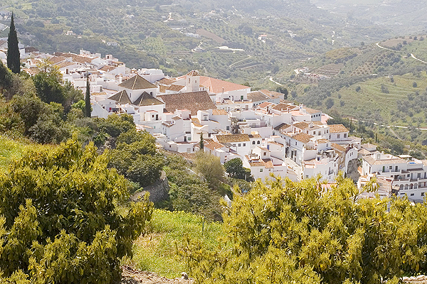 Frigiliana Town from above