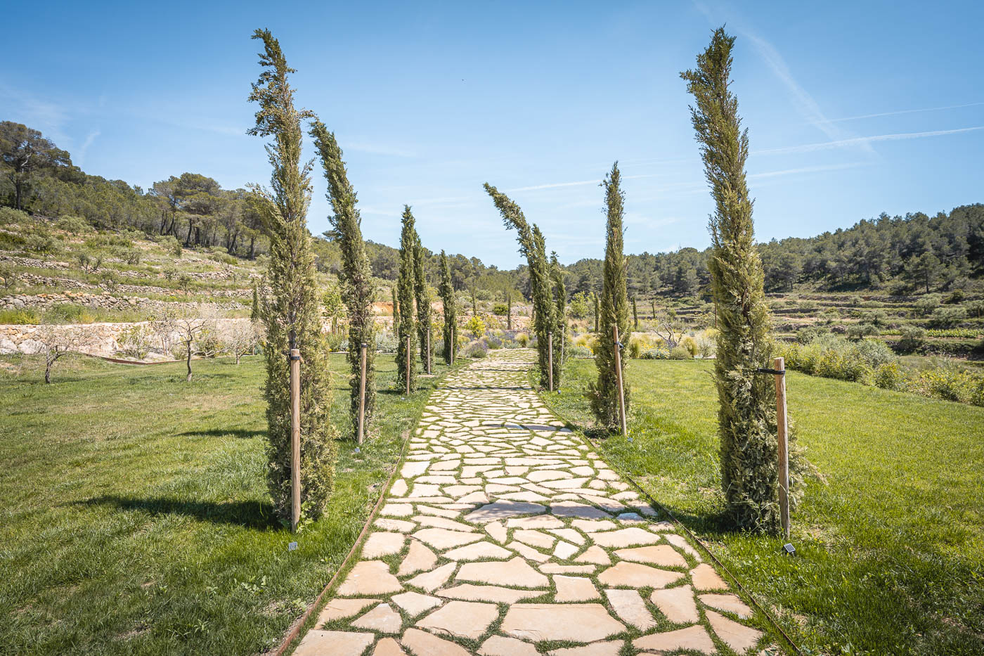 Walking along the landscaped Mediterranean gardens