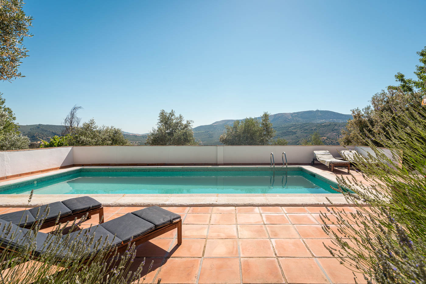 The pool tiling has been replaced with astroturf