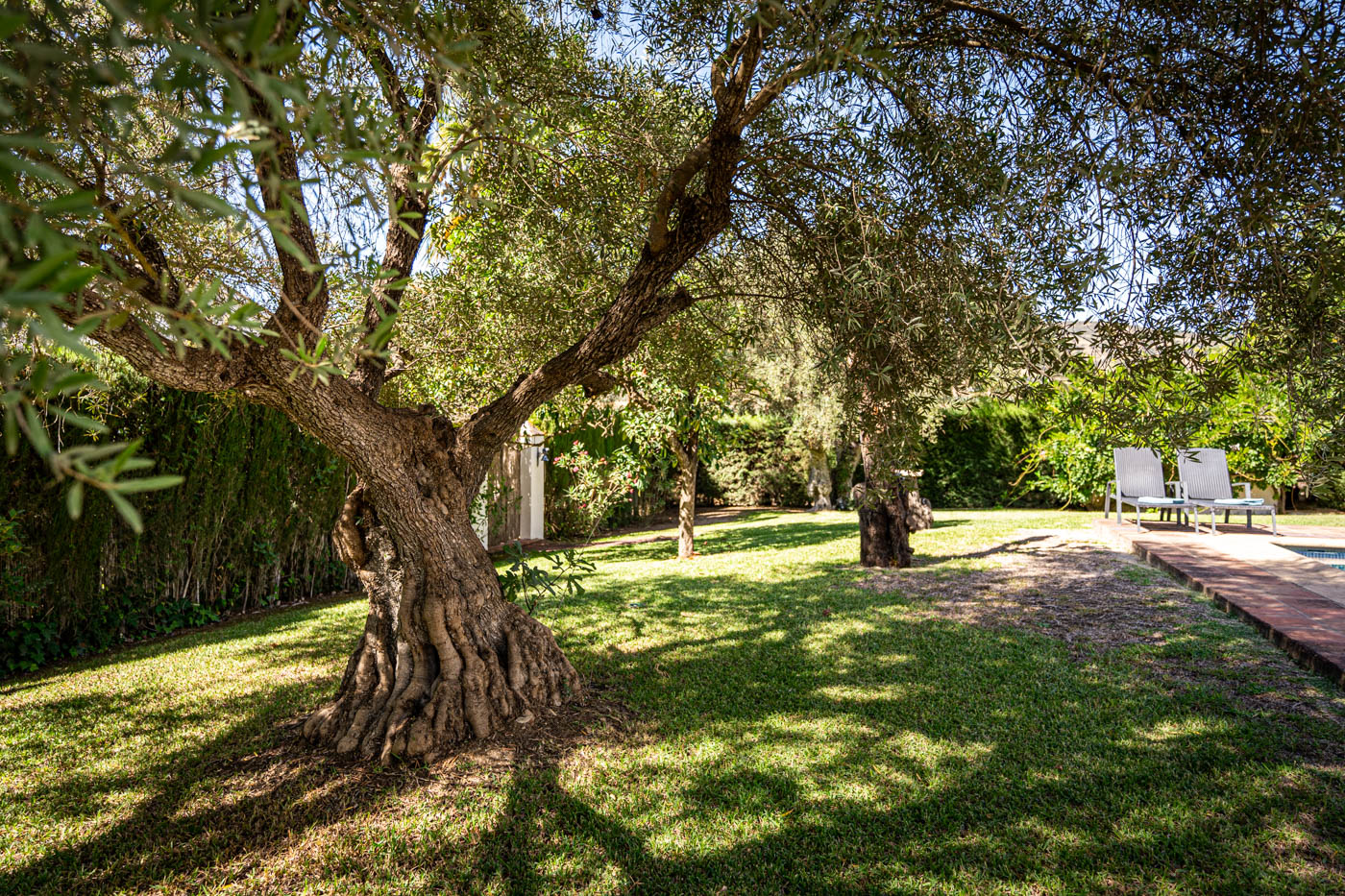 Ample gardens