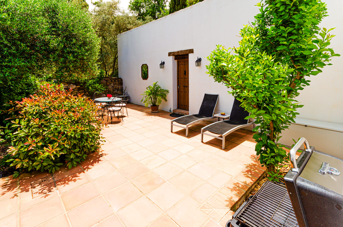 Barbacoa de gas / terraza