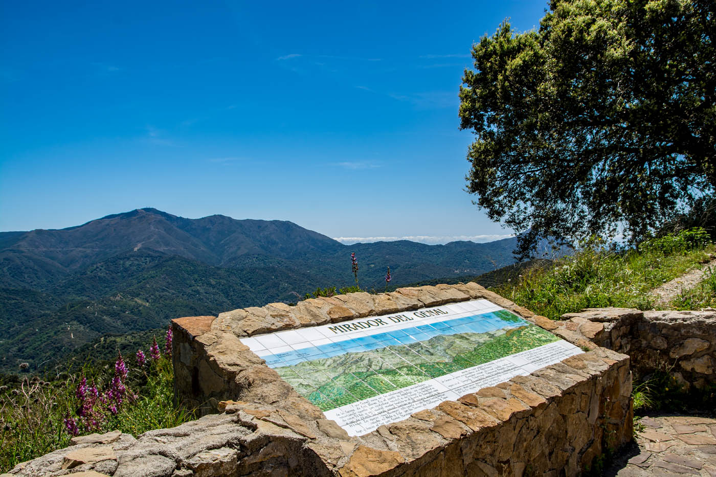Uno de los miradores locales