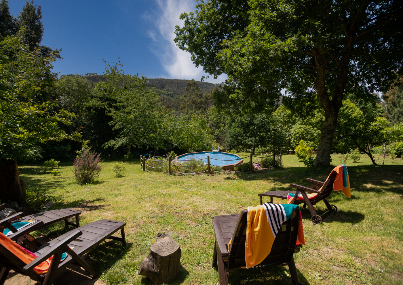 Extensive back gardens