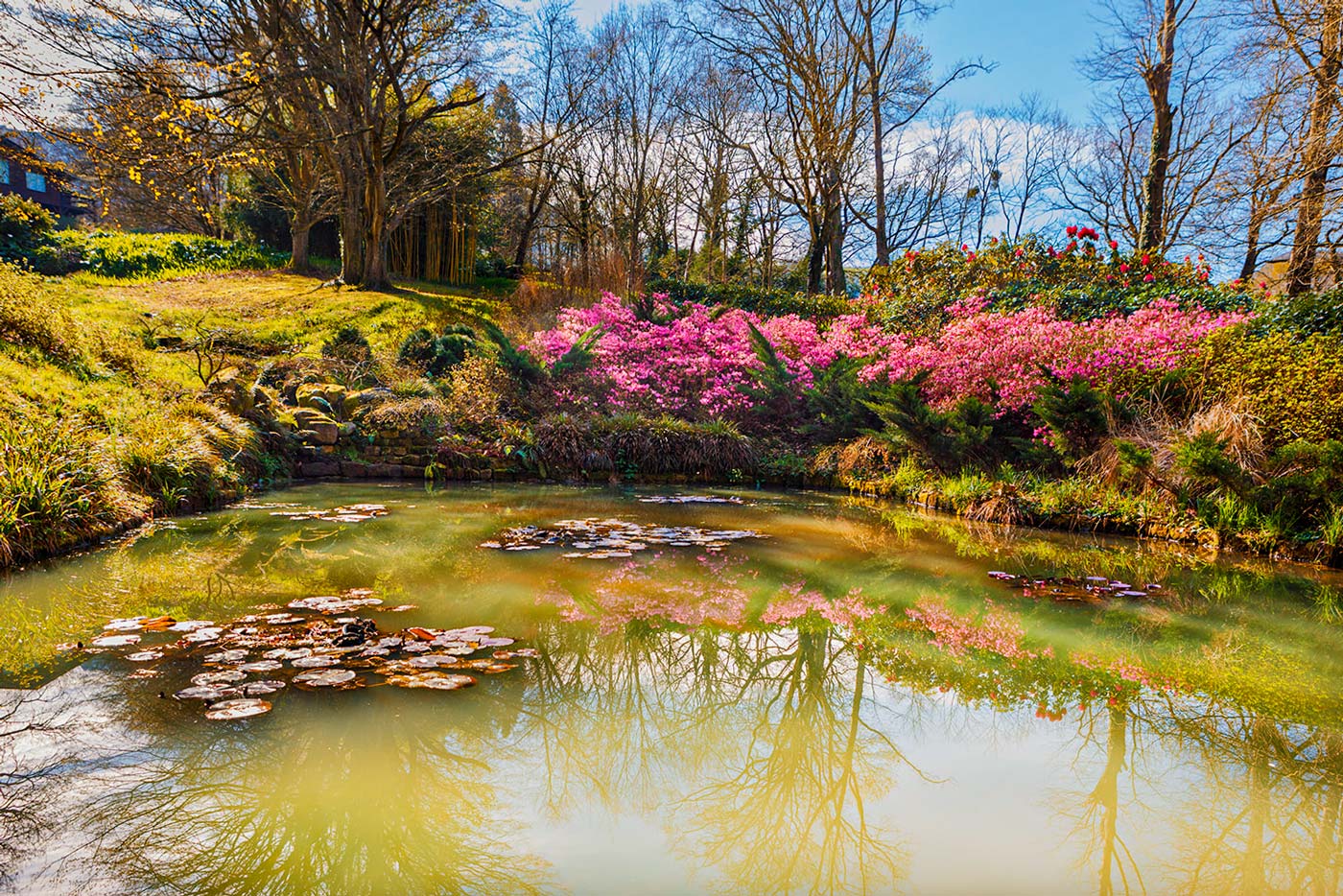 One of the four ponds we find at your private holiday estate