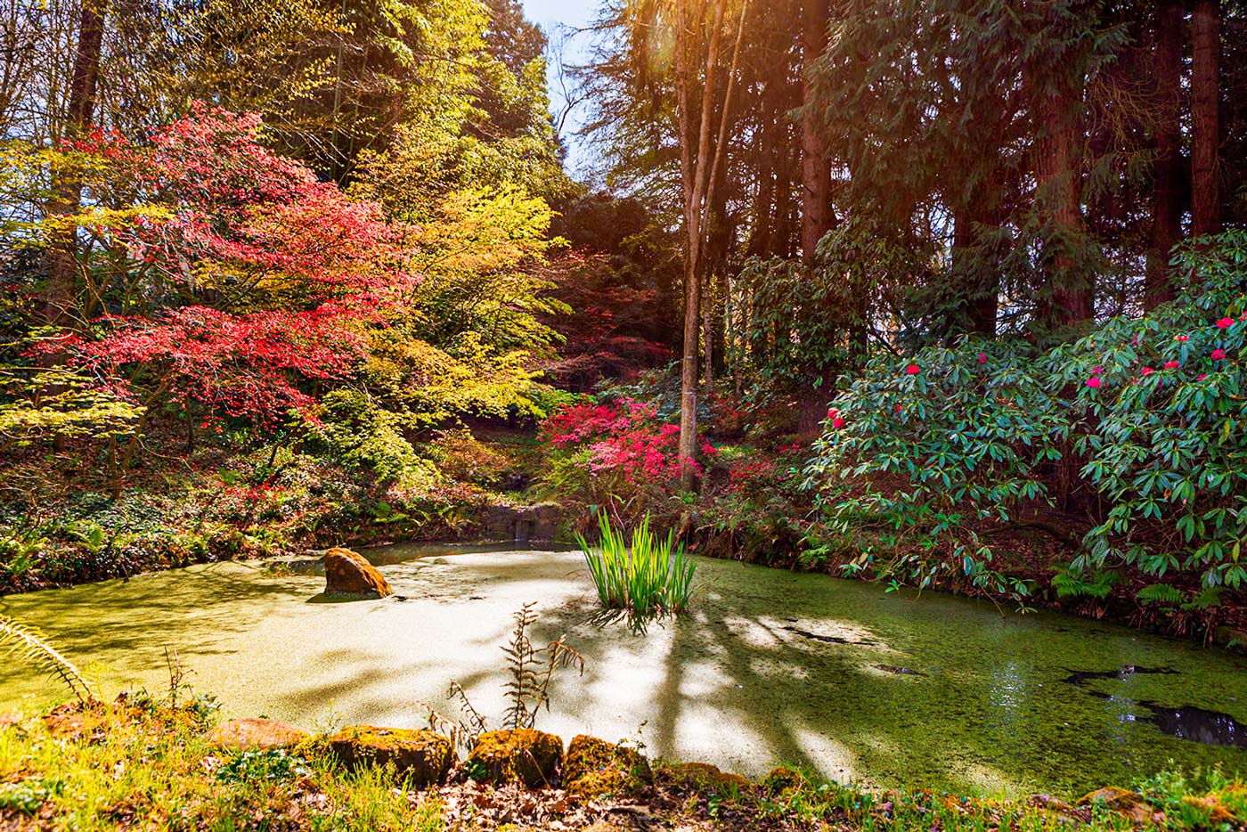 Fascinating private gardens