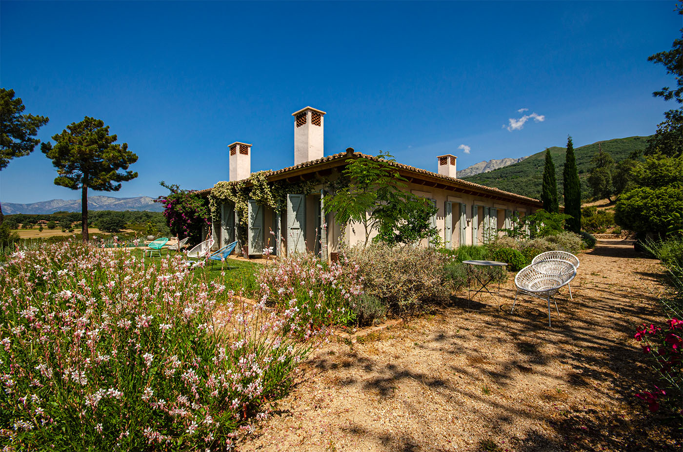 Extensive back gardens