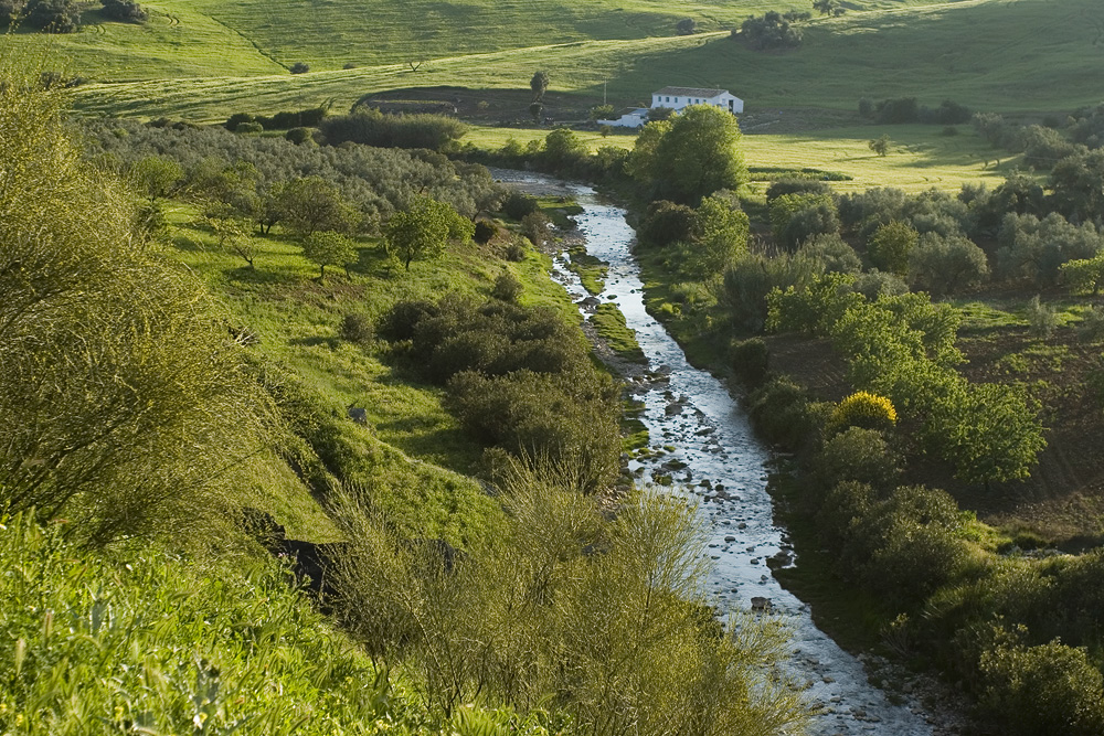 Inland from Malaga in Spring