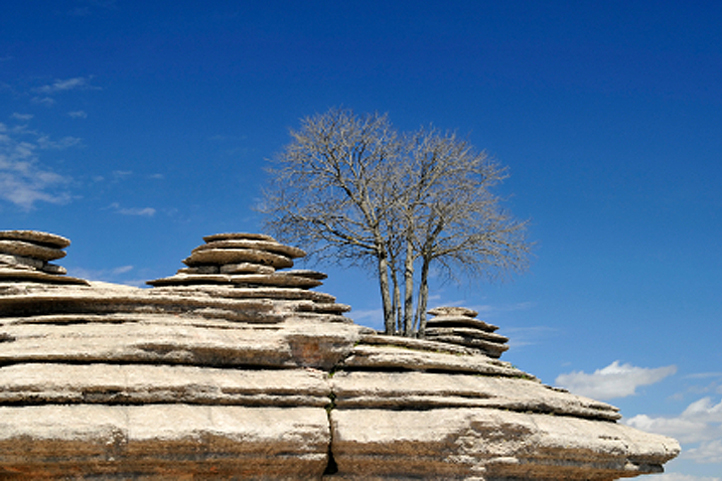 El Torcal Nature Reserve