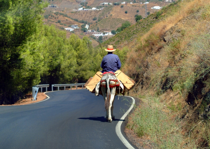 Traditional ways of life in Axarquia