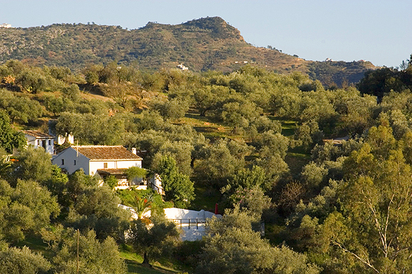 Traditional holiday villa in Axarquia