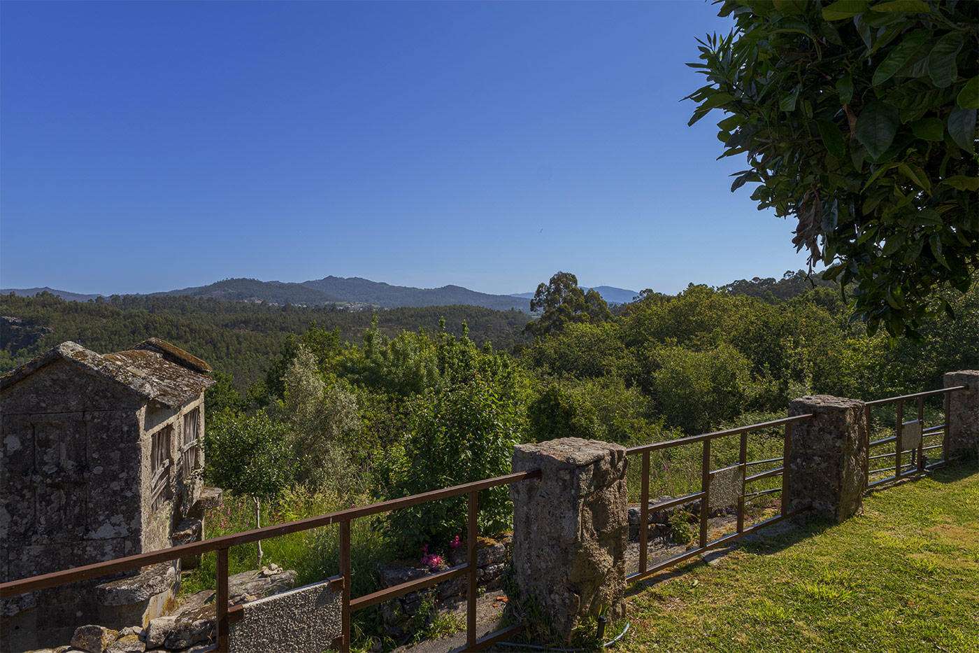 Vistas desde los jardines