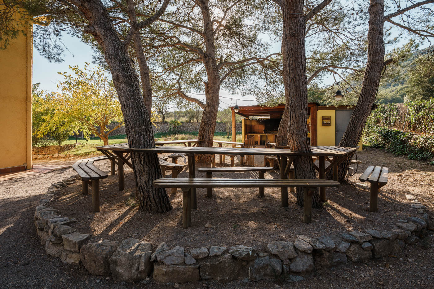 Picinic benches by barbecue 