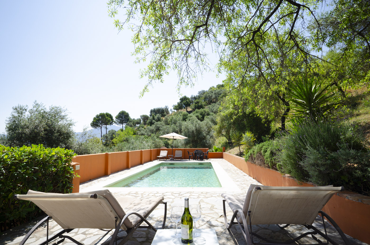 Your private villa near Gaucin, Andalucia