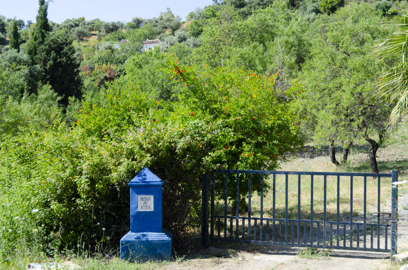 Private gate (not electric) to your stunning holiday retreat