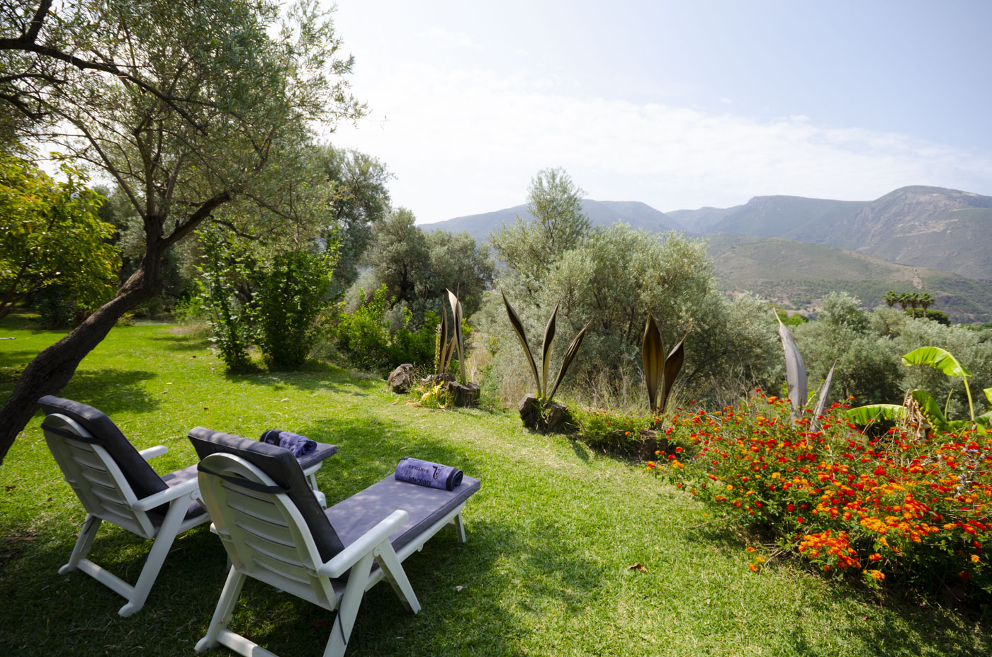 Private gardens with views