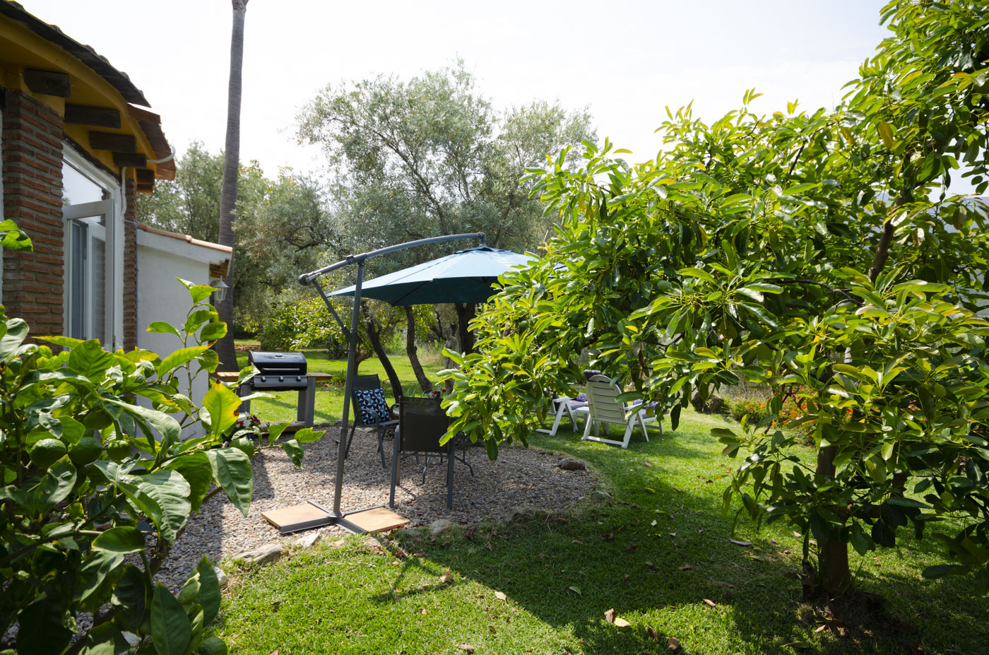 Barbecue area / terrace with parasol