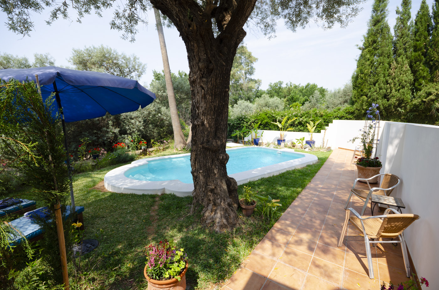 Sun beds and seating area