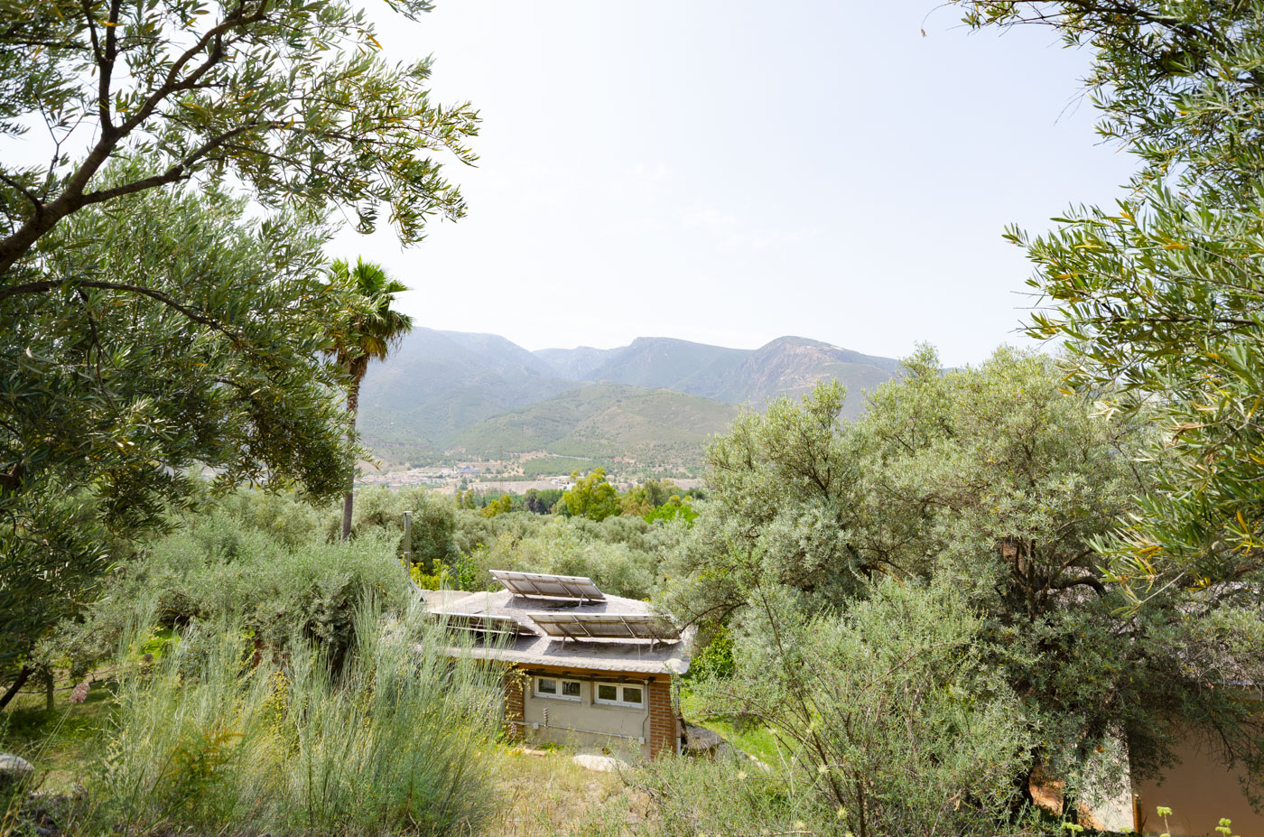 Rural semi tropical enclave just outside Orgiva town