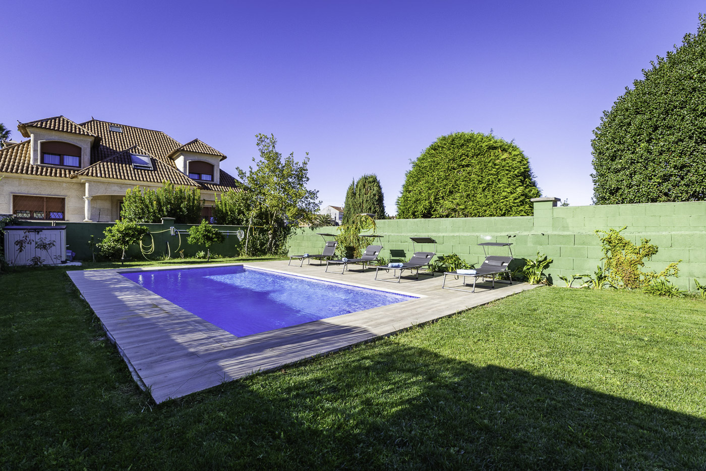 Fast growing trees will provide more privacy