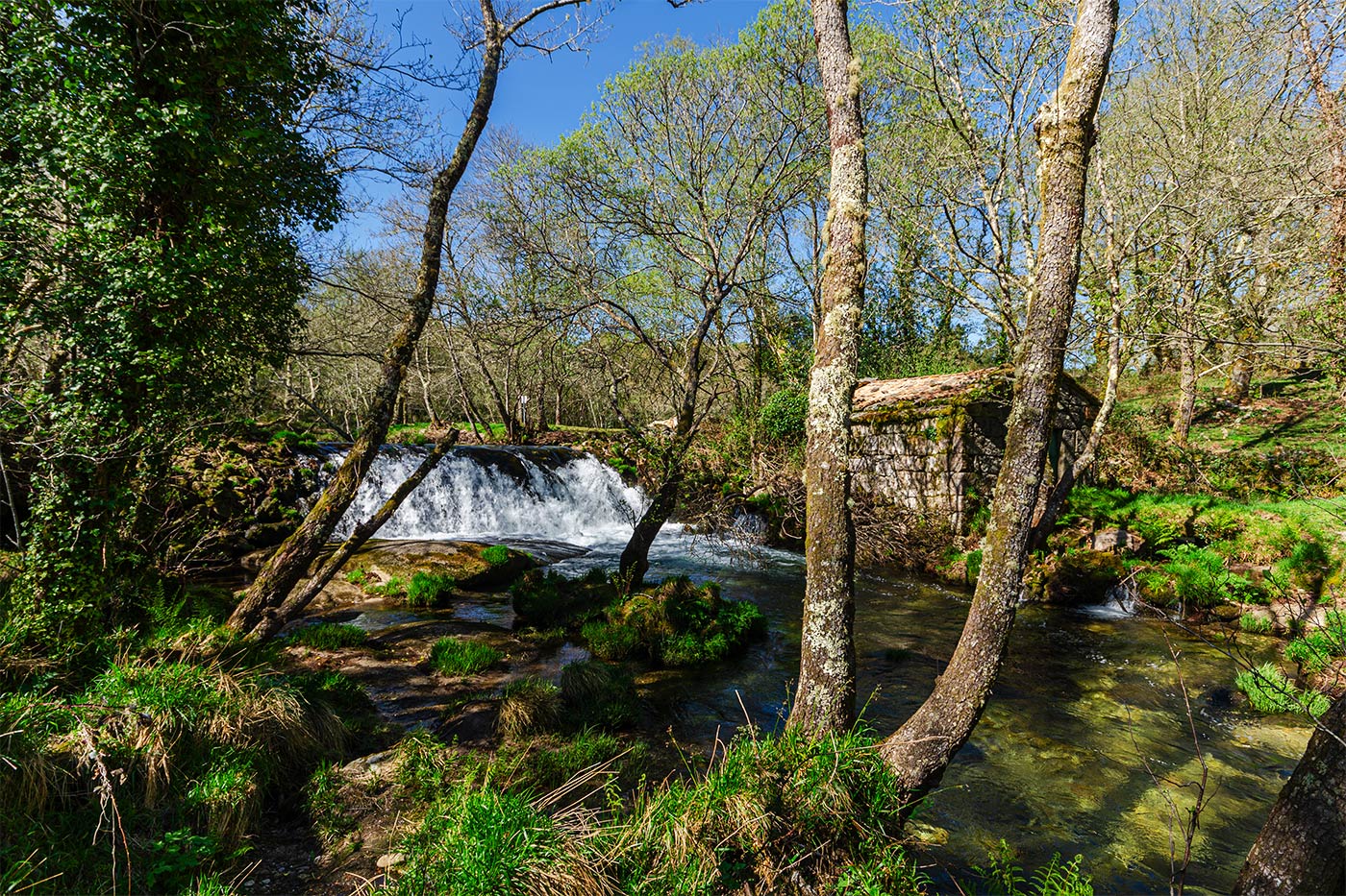Paseos en la zona a lo largo de ríos y bosques