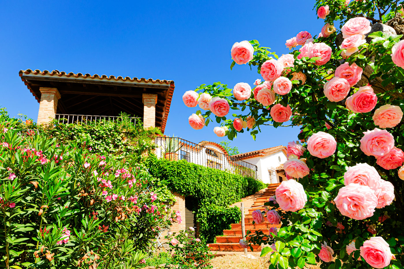 Steps up to the villa from gated pool area