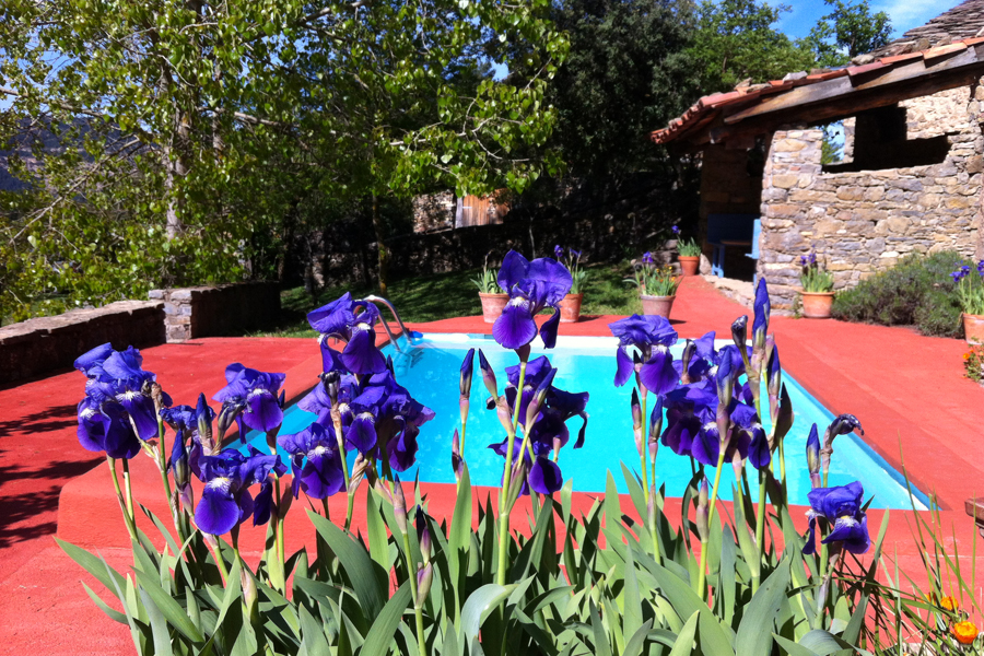 Late Spring 2014 at the villa