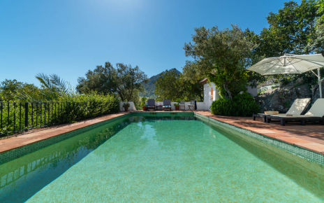 Good size 10 metre long pool