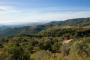 This cottage is virtually hidden away on its own below Gaucin village