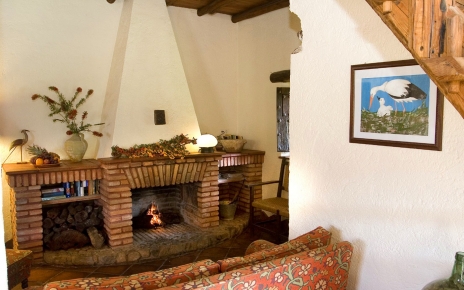 Sala de estar con chimenea
