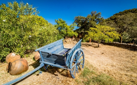 Al llegar a su casa vacacional