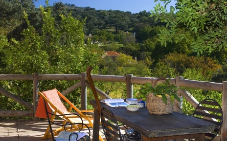 View from the terrace