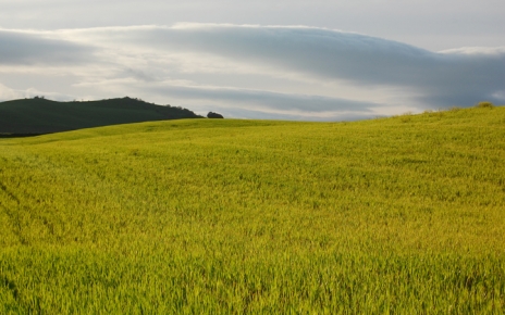 Fields near Grazalema
