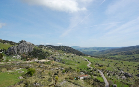 Views from the village