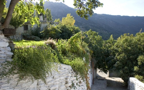 The house seen from below gardens