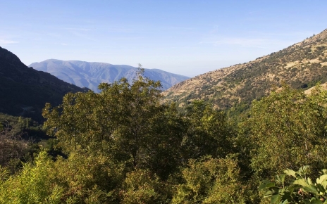 Your views (Summer photo)