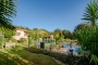 Garden and fenced pool