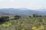 Antequera landscape