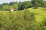 Your holiday cottage in its Cider Country setting, Asturias