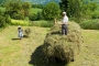 Gardeners preparing property gardens before season starts