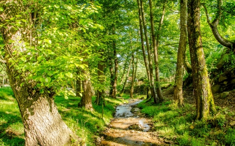 Pequeño río corre a lo largo de la propiedad