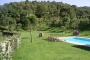 Loungers by the pool