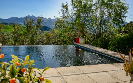 Piscina infinita rodeada de naturaleza