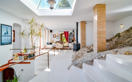 Claraboya, roca madre y plantas interiores 