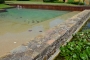 The shared swimming pool is integrated in landscape