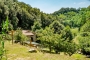 The house, hidden in flourishing greenery