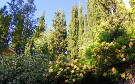 Good privacy and intimacy