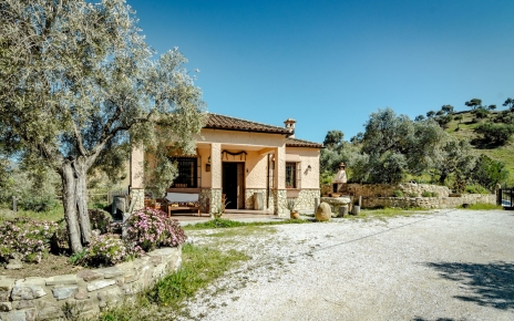Al llegar a su propiedad vacacional conduciendo entre olivares