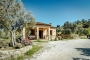 Arriving at your holiday property driving over olive groves