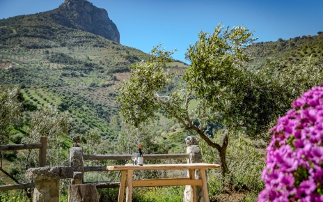 Mira hacia la montaña Tajo (foto de mediados de primavera)