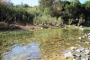 Clear, shallow river for paddling near villa